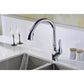 Anzzi KF-AZ031  Accent Series Single-Handle Pull-Down Sprayer Kitchen Faucet