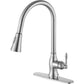 Anzzi KF-AZ214  Rodeo Single-Handle Pull-Out Sprayer Kitchen Faucet